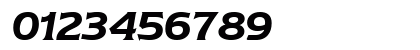 Newtext Italic Preview