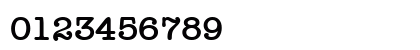 Typist Bold Preview