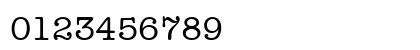 Typist Regular Preview
