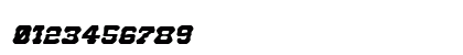 U.S. Marshal Italic Italic Preview