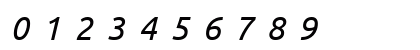 Ubuntu Nerd Font Mono Italic Preview