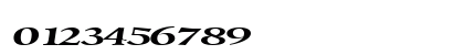 Un Regular Numeric Preview