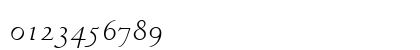 Venetian Italic Numeric Preview