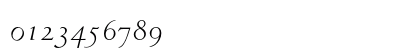 Venetian 301 Italic Preview