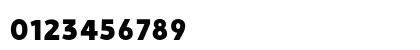 Vision ExtBlk Regular Preview