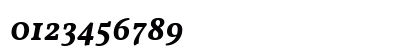 Vollkorn Bold Italic Numeric Preview