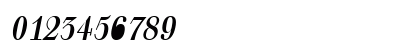 WalterCond Oblique Preview
