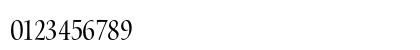 Waters Titling Pro Condensed Numeric Preview