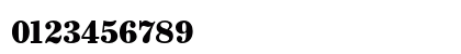 Whitin Condensed Black Numeric Preview