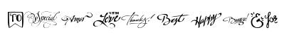 Words Regular Preview