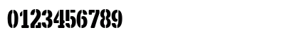 X.Template Regular Preview