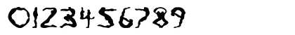 Yoga Regular Numeric Preview