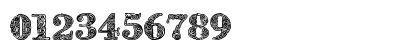 ZsylettPro Contour Numeric Preview