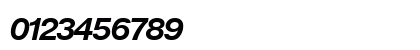 NimbusSanPEE Bold Italic Numeric Preview