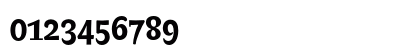 Biblon ITC Swash Bold Numeric Preview