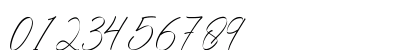 Young Rich Regular Numeric Preview
