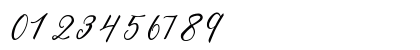 Delfis Regular Numeric Preview