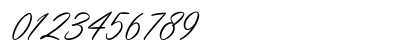 Youlast Regular Numeric Preview