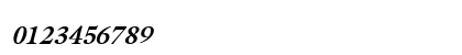 PSL-Paksin Bold Italic Numeric Preview