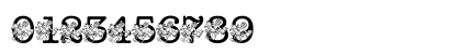 pf_i_read007 Regular Numeric Preview