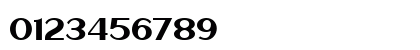 Haarlem Sans Regular Numeric Preview