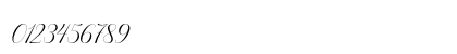 Bailenson Regular Numeric Preview