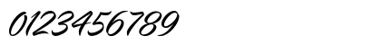 Virmana Script Regular Numeric Preview