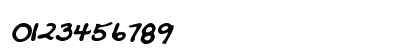 CarlysHand Bold Italic Numeric Preview