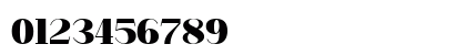 Kingkey Neue Demo Black Regular Numeric Preview