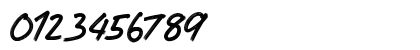 RUNWAY BRUSH Regular Numeric Preview