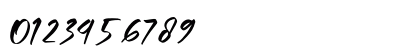 Gesturally Regular Numeric Preview