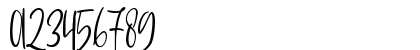 Sophisticated Signature Regular Preview