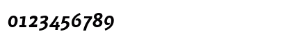 PF Muse Bold Italic Preview