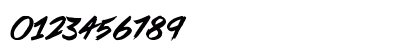 Pirate Scripts Regular Numeric Preview