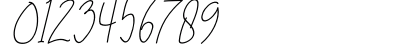 Brilliant Signature 1 Slant Regular Numeric Preview
