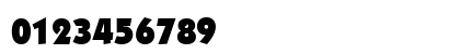 00388 Regular Preview
