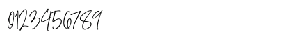 Amboera Script Regular Numeric Preview