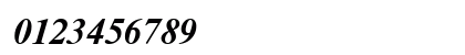NewtonWINCTT BoldItalic Numeric Preview