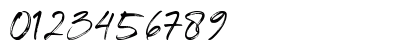 Shillentta Personal Use Only Regular Numeric Preview