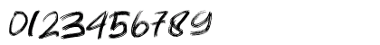SHIMASU BRUSH Regular Numeric Preview