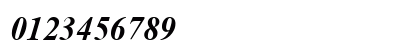 Times New Sanskrit Bold Italic Numeric Preview