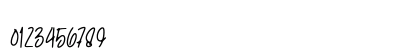 Ellouise Regular Numeric Preview