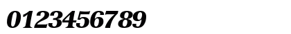NuanceBlackSSK Italic Preview