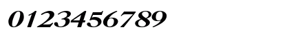 Caslon Bold Italic Numeric Preview