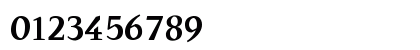 TS-ChapineroSerif Medium Numeric Preview