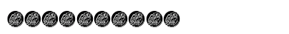Cronicle Demo Regular Numeric Preview
