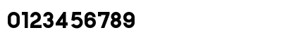 Typo Ring Demo Bold Numeric Preview