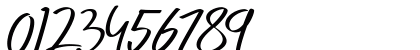 Palmark Regular Numeric Preview