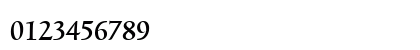 TriniteNo2 Medium Numeric Preview