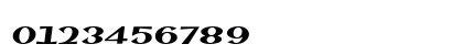 SinahSans LT Black Italic Numeric Preview
